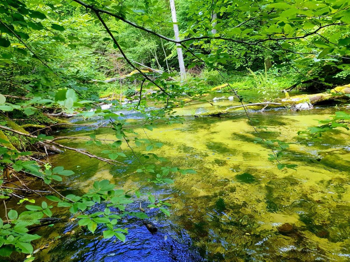 Jaskolka - Pokoje I Apartament Przy Plazy Olsztyn  Esterno foto